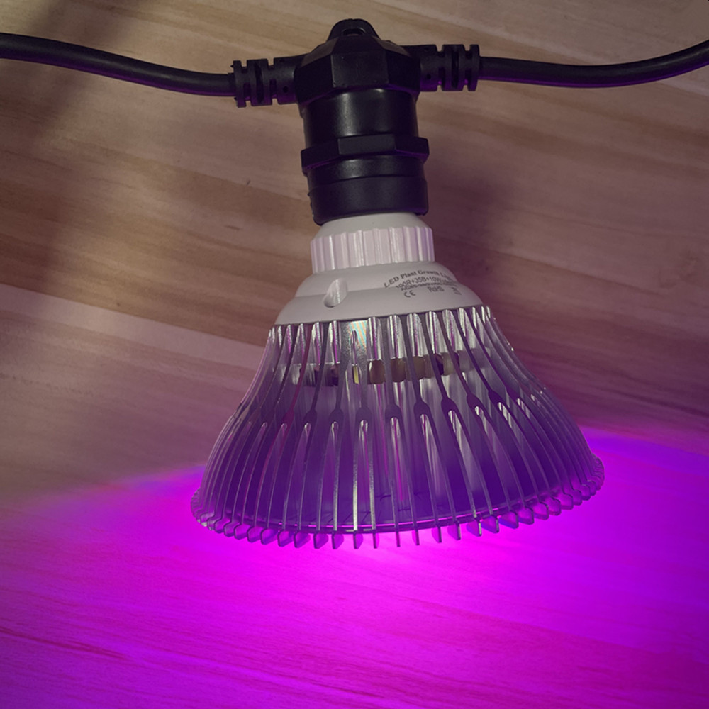 10M Cable LED String Commercia - Waterproof Led Strip 评论和价格